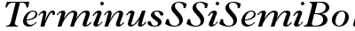 Terminus SSi Semi Bold Italic