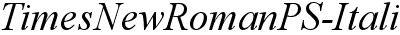 Times New Roman Italic