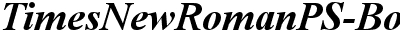 Times New Roman Bold Italic