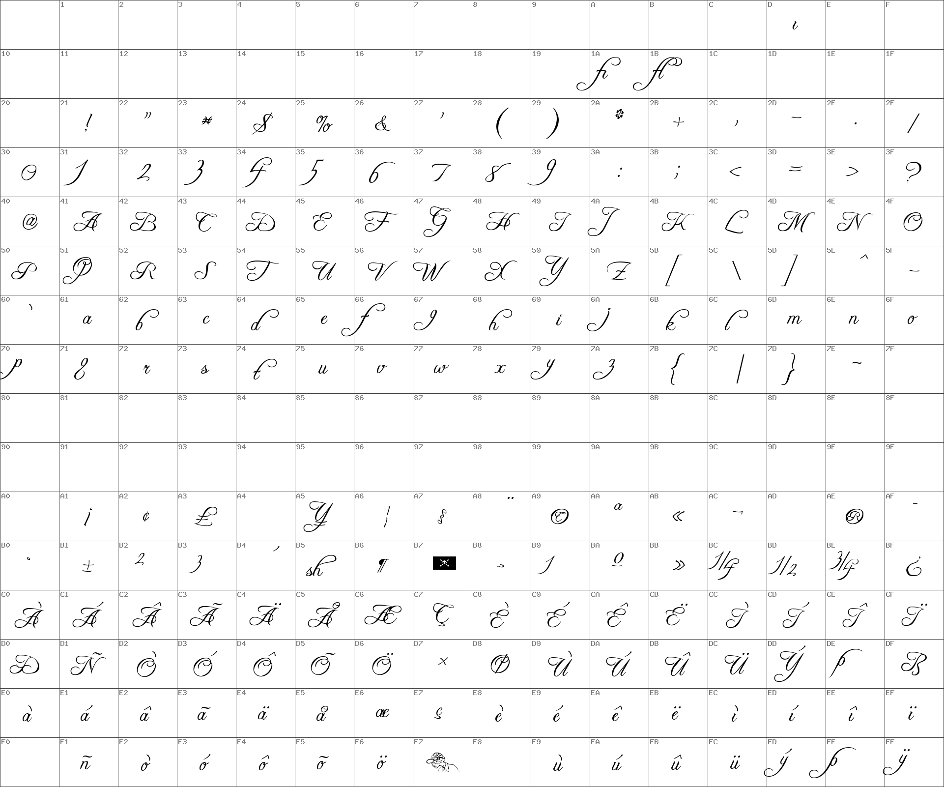 freebooter script font