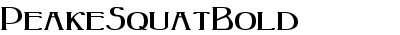 PeakeSquat Bold