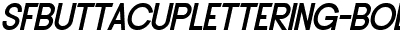 SF Buttacup Lettering Bold Oblique