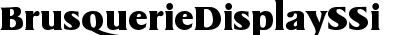 Brusquerie Display SSi