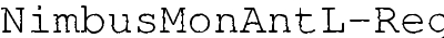 NimbusMonAntLReg
