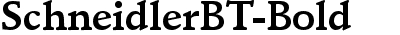Schneidler BT Bold