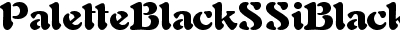 Palette Black SSi Black