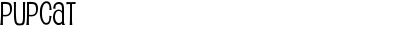 pupcat-regular-17422